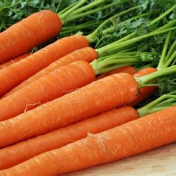 Carottes